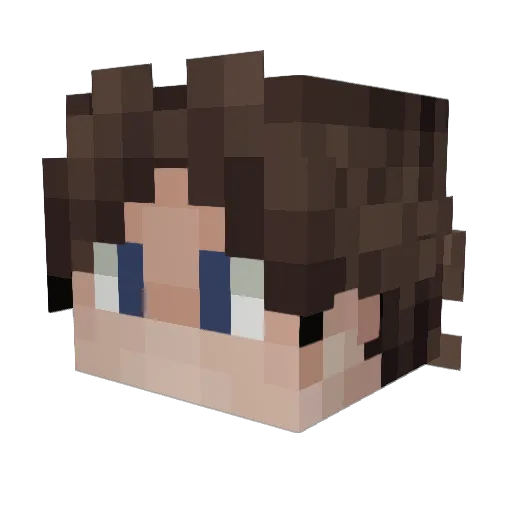 LarryBarry1234 Minecraft avatar head, 3D render