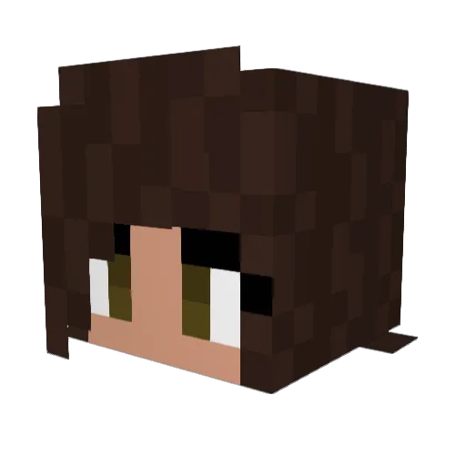 LarryBoy72 Minecraft avatar head, 3D render