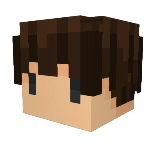 LarryCableGuy Minecraft avatar head, 3D render