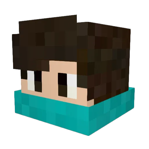 LarryF58 Minecraft avatar head, 3D render