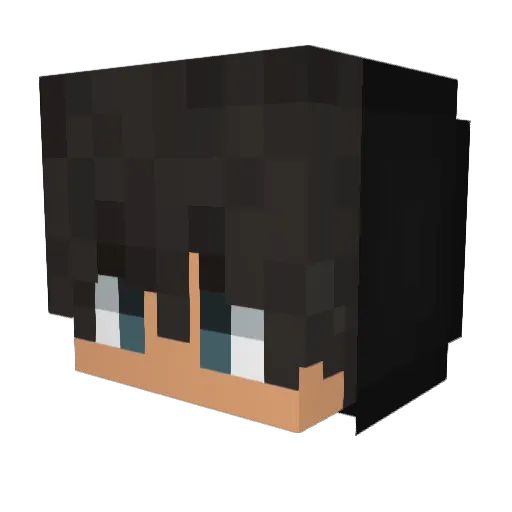 LarryMoons Minecraft avatar head, 3D render