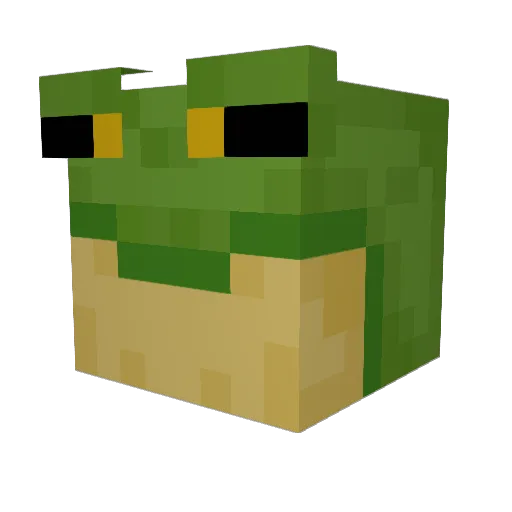 LarryOtt Minecraft avatar head, 3D render
