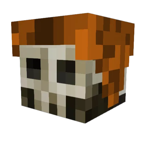 LarryTFT Minecraft avatar head, 3D render