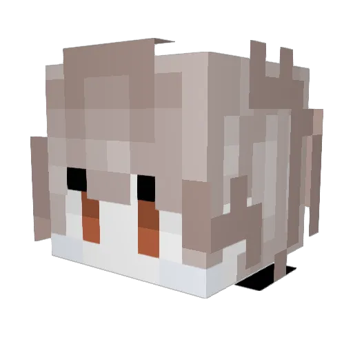 LarryTheTertle Minecraft avatar head, 3D render