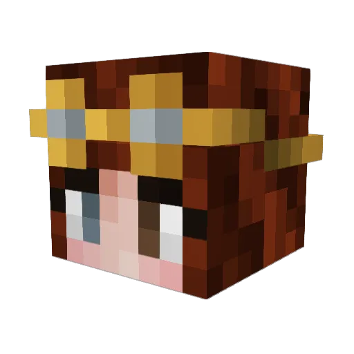 Larryamis Minecraft avatar head, 3D render
