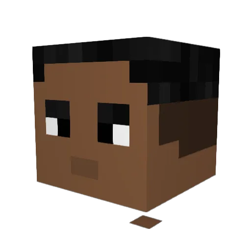 LarrytheRaccon Minecraft avatar head, 3D render