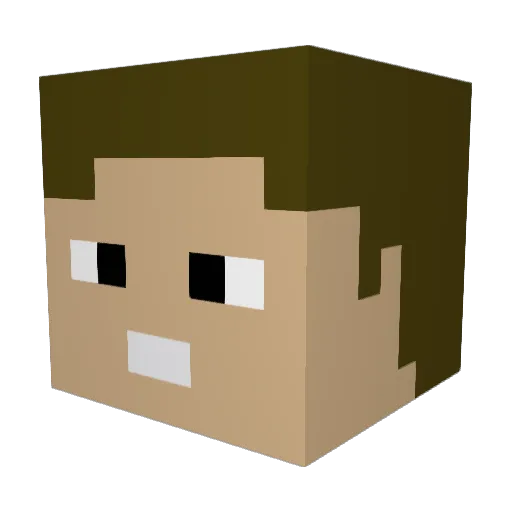 Larsagna371 Minecraft avatar head, 3D render