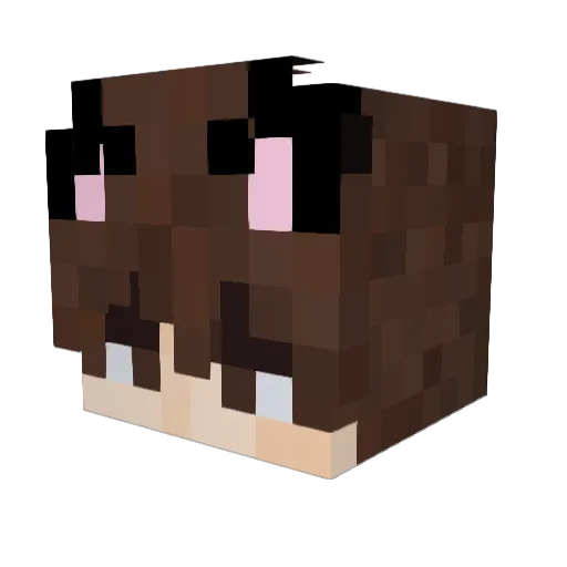 Larshy1 Minecraft avatar head, 3D render