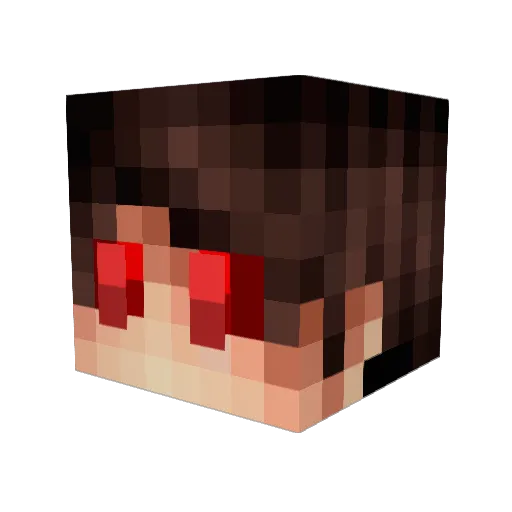 Larsii09 Minecraft avatar head, 3D render