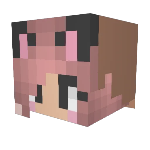 Larsmeister Minecraft avatar head, 3D render
