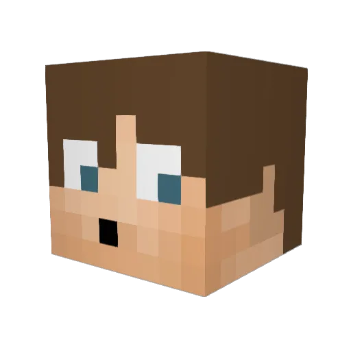Larson109 Minecraft avatar head, 3D render