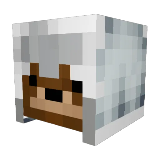 Larss99 Minecraft avatar head, 3D render
