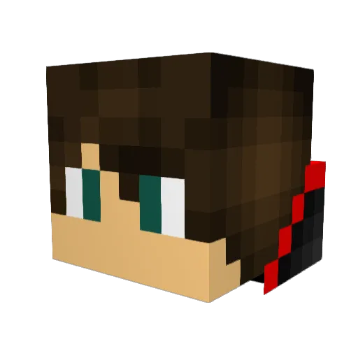 Larter456 Minecraft avatar head, 3D render