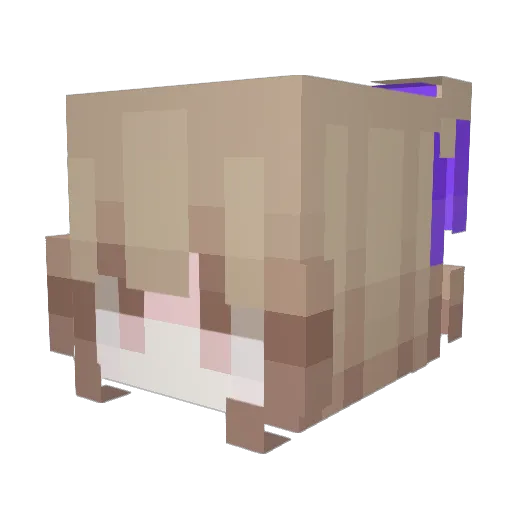 Larvate Minecraft avatar head, 3D render