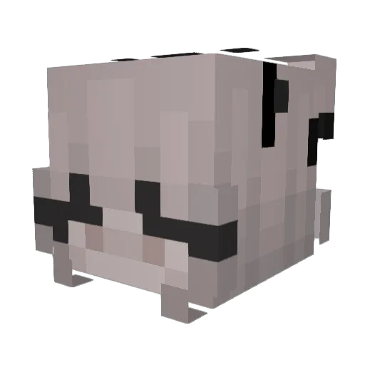 Larvonadox Minecraft avatar head, 3D render