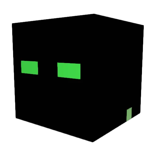 Lary415 Minecraft avatar head, 3D render