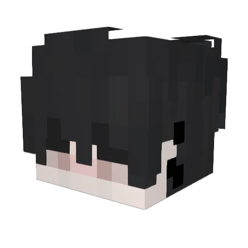 Larz14 Minecraft avatar head, 3D render