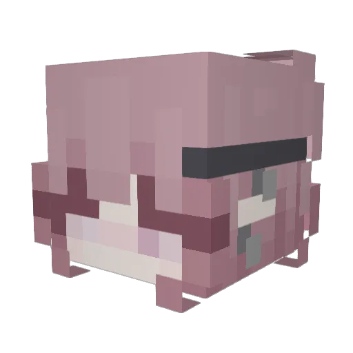 Larznar Minecraft avatar head, 3D render