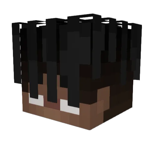 LasBeibisPaLuis Minecraft avatar head, 3D render