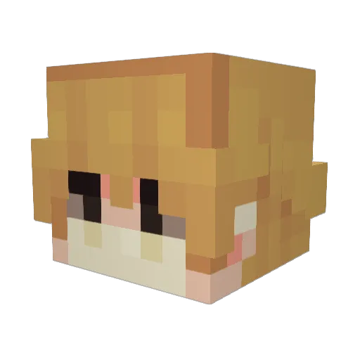 Lasagay Minecraft avatar head, 3D render