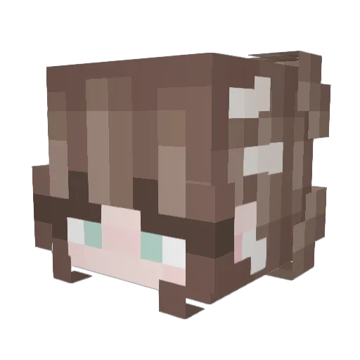 Lasanha3672 Minecraft avatar head, 3D render