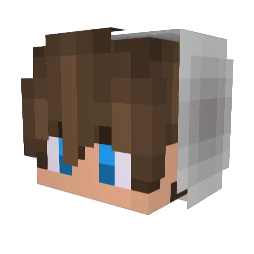 Lasefuuuuu Minecraft avatar head, 3D render