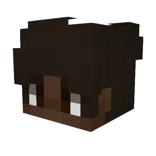 Lasharn008 Minecraft avatar head, 3D render