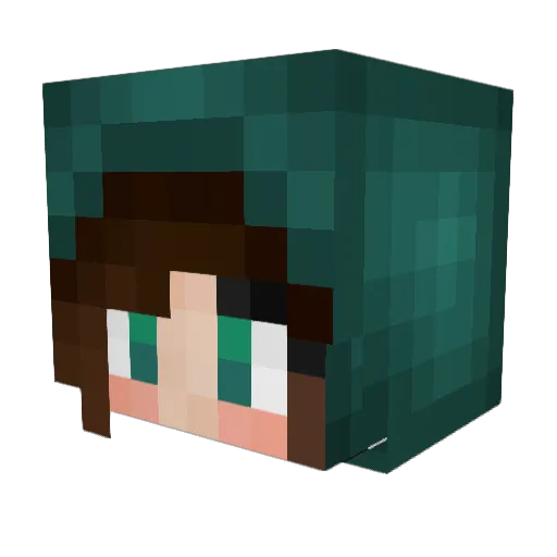 Lasiss Minecraft avatar head, 3D render