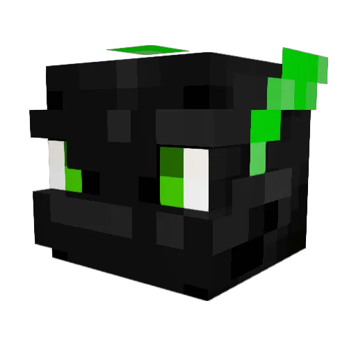 LassMichInRuheOO Minecraft avatar head, 3D render