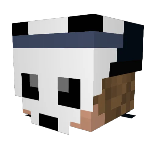 Lass_es Minecraft avatar head, 3D render