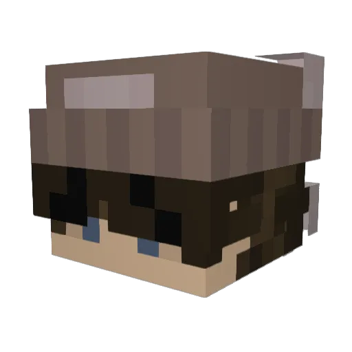 Lasse999 Minecraft avatar head, 3D render