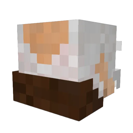 Lasseagne Minecraft avatar head, 3D render