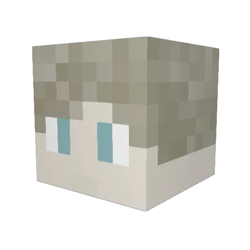 Lassoe07 Minecraft avatar head, 3D render