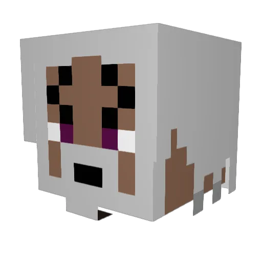 LassyboyXD Minecraft avatar head, 3D render