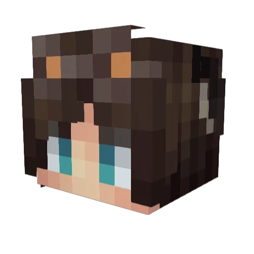 LastCrafter_ Minecraft avatar head, 3D render