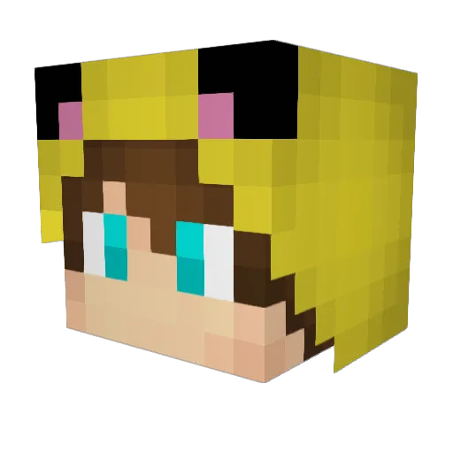 LastDruid Minecraft avatar head, 3D render