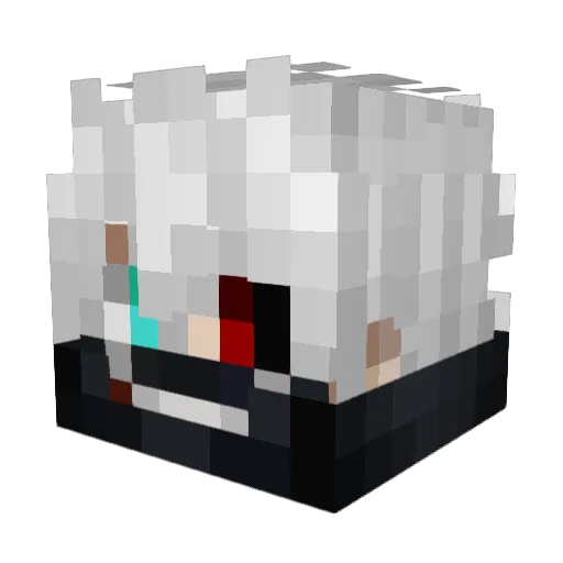 LastName_ Minecraft avatar head, 3D render