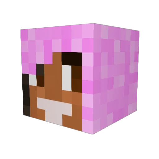 LastNight123456 Minecraft avatar head, 3D render