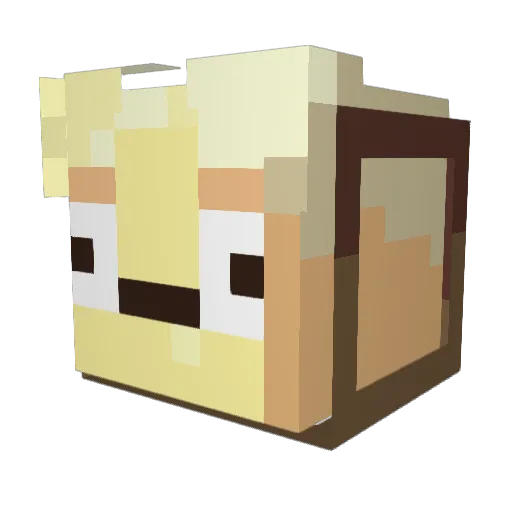 LastSorcerer Minecraft avatar head, 3D render