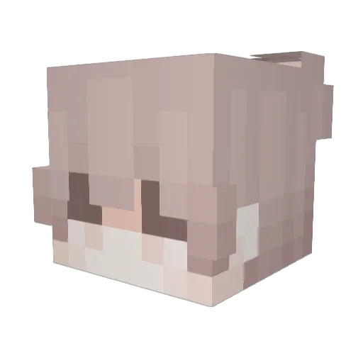 Last_200 Minecraft avatar head, 3D render