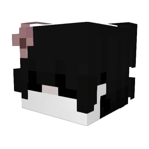 Last__dance Minecraft avatar head, 3D render