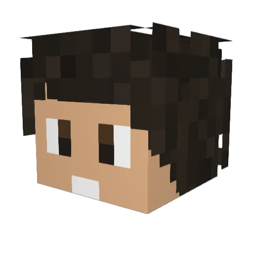 Lasttry4me Minecraft avatar head, 3D render