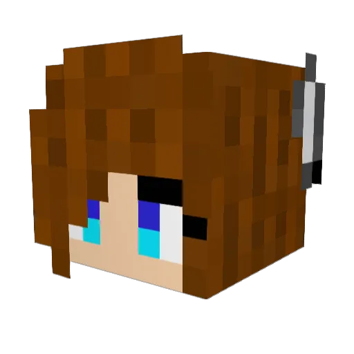 Lastw1 Minecraft avatar head, 3D render