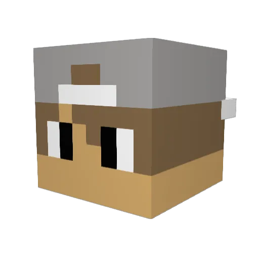 LateNightWolf12 Minecraft avatar head, 3D render