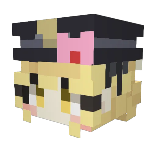 Late_Latte Minecraft avatar head, 3D render