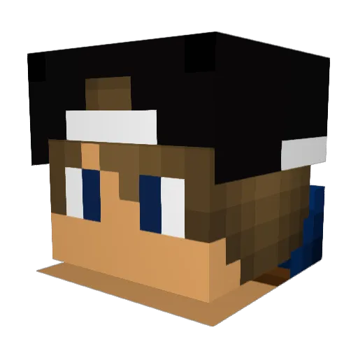 Lateinausfrage Minecraft avatar head, 3D render