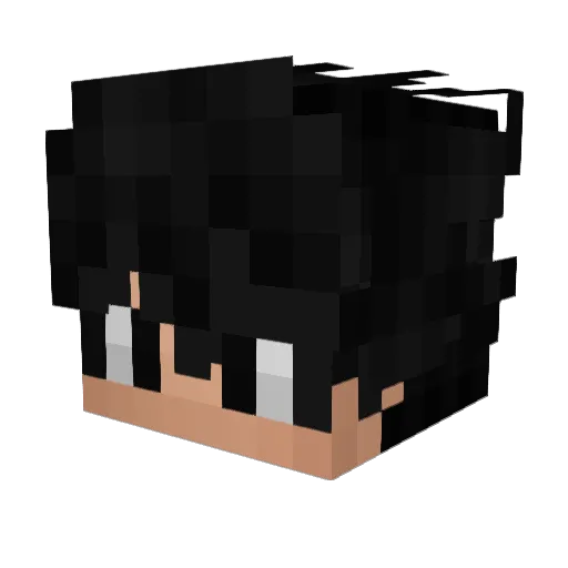 LatekWasTaken Minecraft avatar head, 3D render