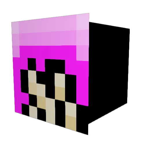 LaterGator99 Minecraft avatar head, 3D render