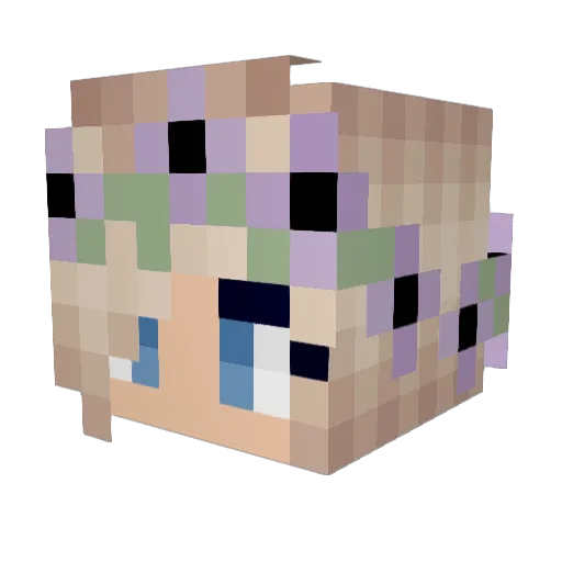 Latin_dodo Minecraft avatar head, 3D render