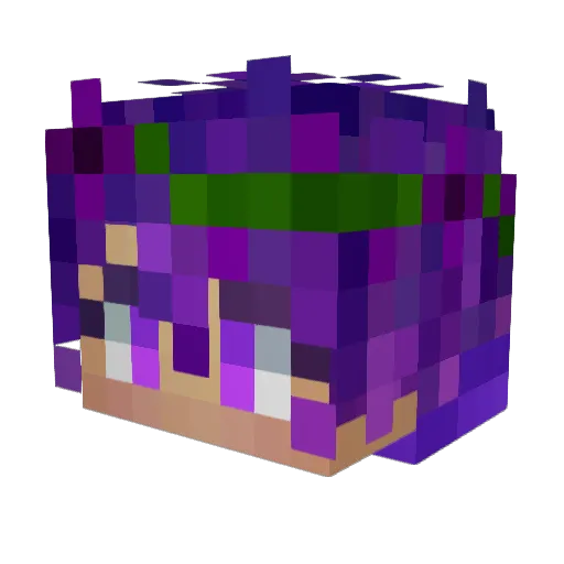 Latoonia Minecraft avatar head, 3D render